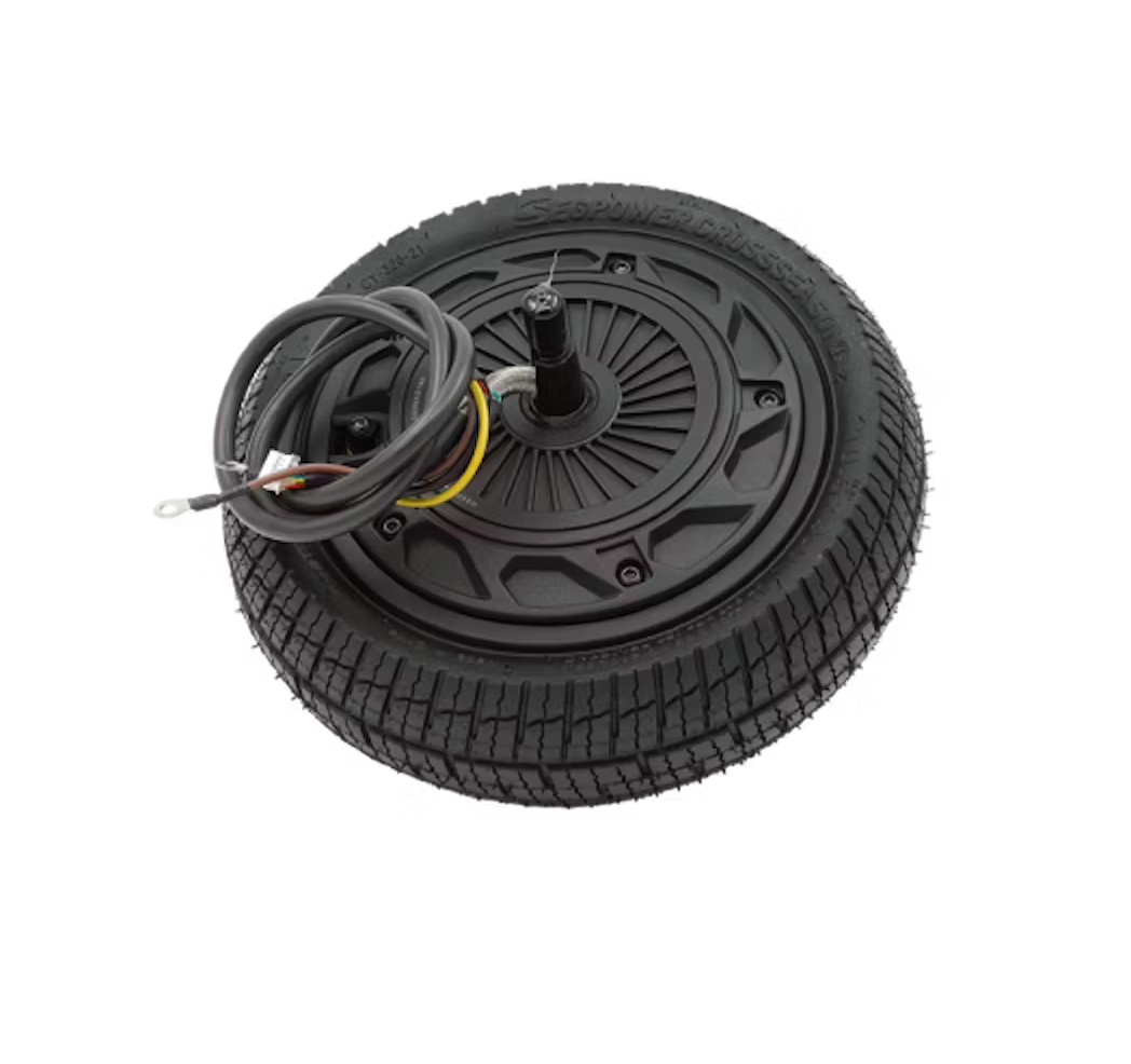 Wheel Hub Motor Assembly - P100S and P65 - M4M
