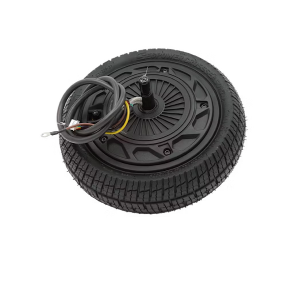 Wheel Hub Motor Assembly - P100S and P65 - M4M